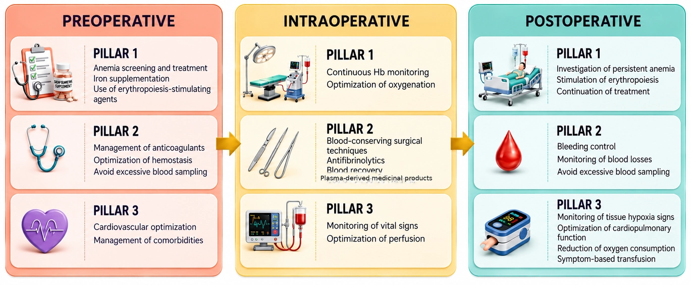 The Three Pillars across the surgical journey